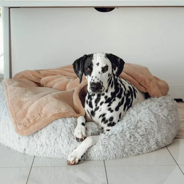 Double Weighted Luxury Blanket - Image 2