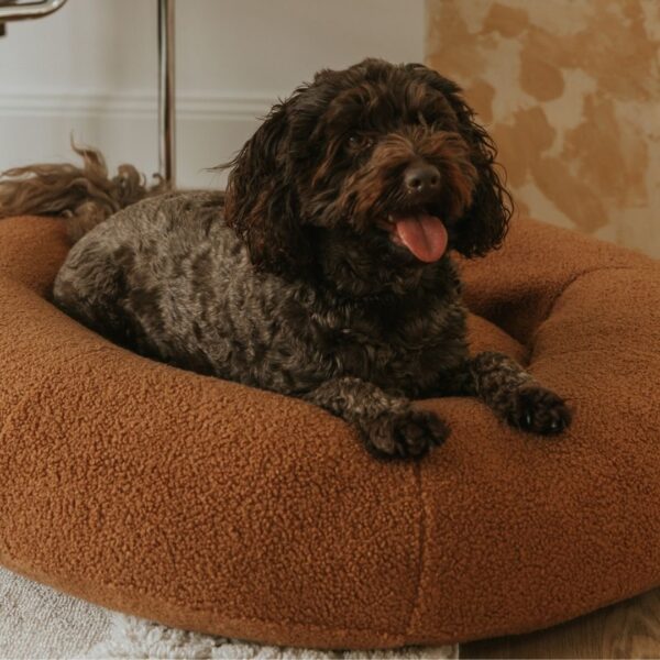 Premium Teddy Bed - Image 2