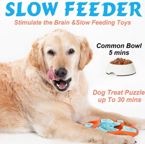 Think and Play: Engaging Puzzle Toys for Active Dogs - Image 5